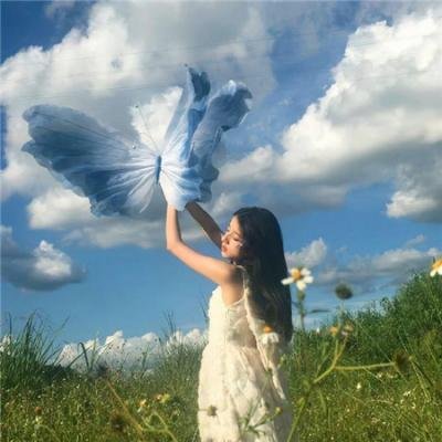 公园里的石头